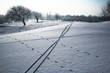 Tracce di mountain bike nella neve