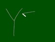 yes on blackboard