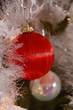 boules de noel