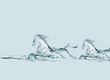 Two Water Horses Running