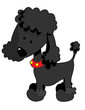 Poodle Black Poodle Black