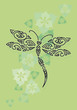 maori firefly