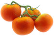 grappe tomates rondes fond blanc grappe tomates rondes fond blanc