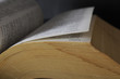 book - encyclopedia - reding