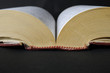 book - encyclopedia - reding