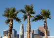 LA Palms