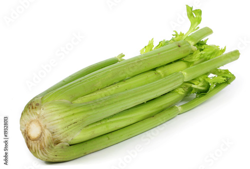 Photo: a single celery close-up white background a single celery close-up white background