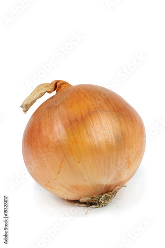 Photo: a single onion closeup white background a single onion closeup white background