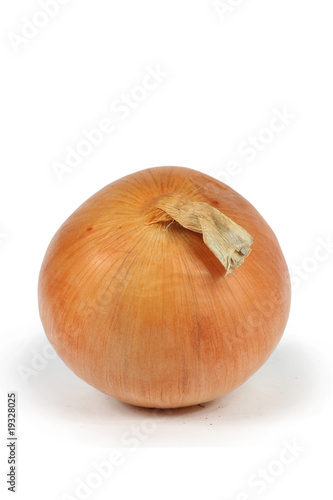 Photo: a single onion closeup white background a single onion closeup white background
