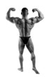 bodybuilder posing over white background