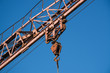 Hook of old industrial crane