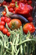 légumes du potager