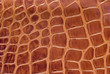 Piel de cocodrilo.