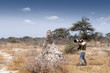 Taking pictures in the savannah