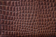 Textura de piel de cocodrilo.