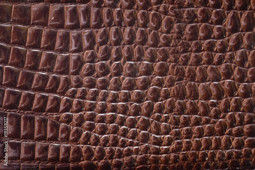Foto: Textura de piel de cocodrilo. Textura de piel de cocodrilo.