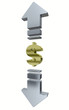 Exchange fluctuation