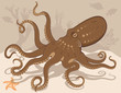 Octopus Starfish Coral Reef Octopus Starfish Coral Reef
