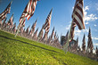 U.S.A Flag U.S.A Flag