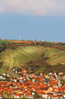 Foto: weinberge, frühling, windrad weinberge, frühling, windrad
