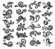 Floral graphics set