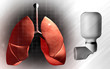 Lungs and inhaler