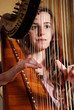 Photo: Female musician playing the harp Female musician playing the harp