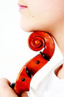schnecke