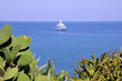 Côte d'Antibes dans les Alpes Maritimes en France