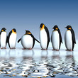 Fun penguins