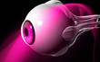 Eye