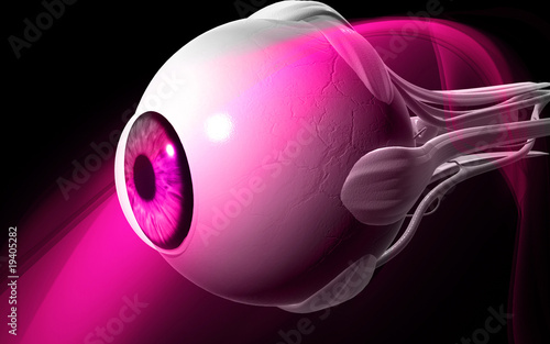 Eye Eye