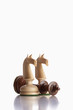 chess knights
