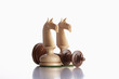 chess knights