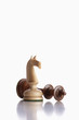 chess knight and king