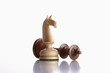 chess knight and king