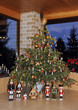 Weihnachtsb_d0471