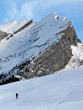 Randonnée à ski