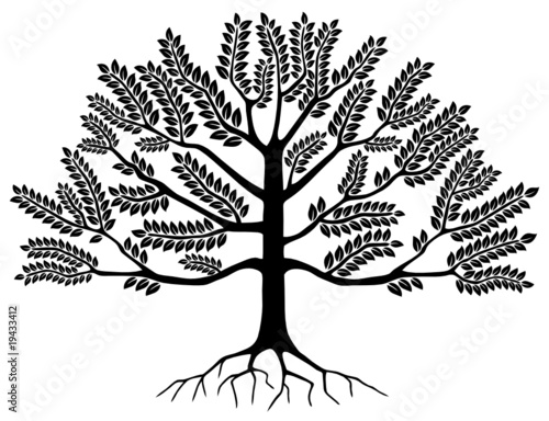 Arbre (Tree Silhouette Symbole Logo Dessin Illustration Vecteur)