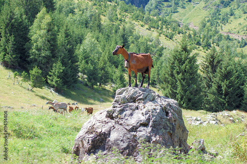 à chacun son everest