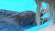 Dolphin in aquapark Dolphin in aquapark