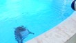 Dolphin in aquapark Dolphin in aquapark