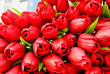 A bouqet of Tulips A bouqet of Tulips