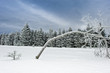 Winterlandschaft