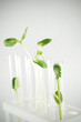 agronomy researching agronomy researching