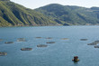Foto: Fish farm, Turkey-Samsun-Bafra-Altinkaya barrage lake Fish farm, Turkey-Samsun-Bafra-Altinkaya barrage lake