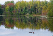 Autumn Pond