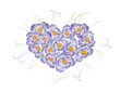 Bouquet of first spring flowers in the form of heart