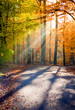 schöner herbsttag