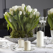 Decoration of dining table for Valentine's Day. White tulip.